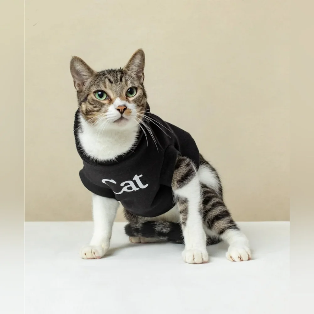 NWT Cat Person & Cat Matching Beanie and Hoodie Set - Black, OS